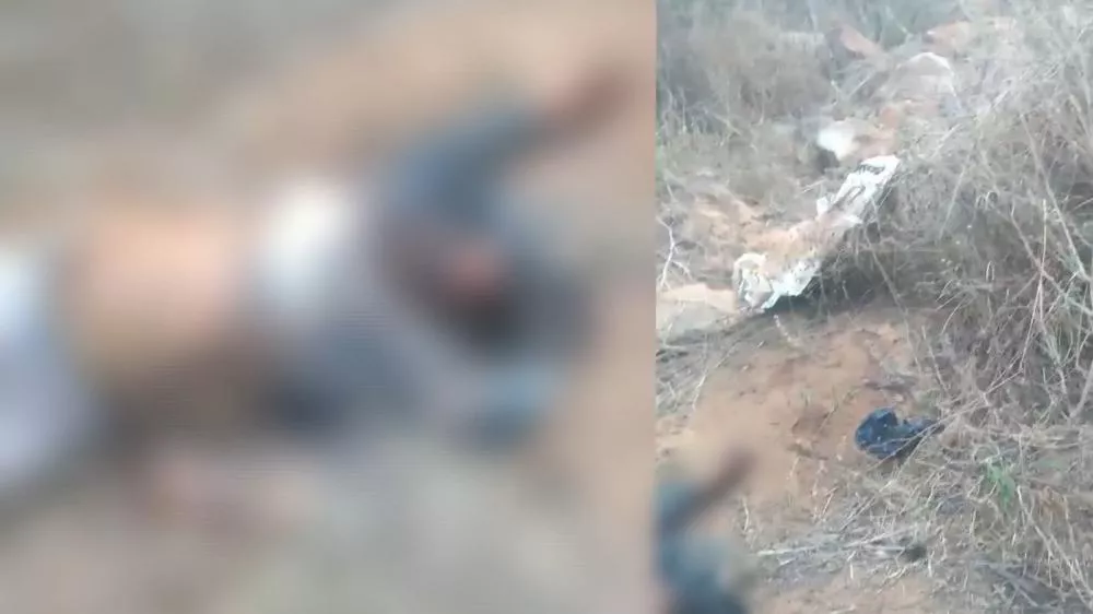 Corpo em avançado estado de decomposição é encontrado por caçadores em mata na divisa entre Passagem e Cacimbas