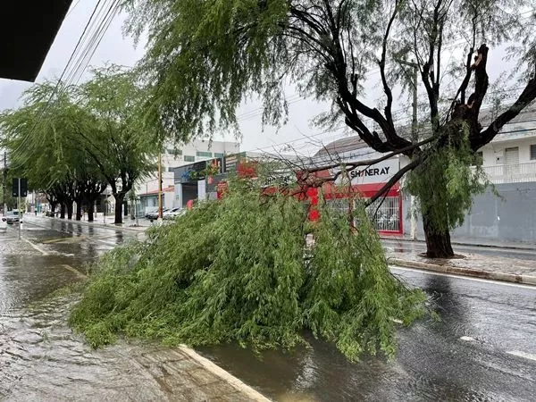 Inmet volta a emitir alerta de vendaval para Patos e quase 200 municípios da Paraíba