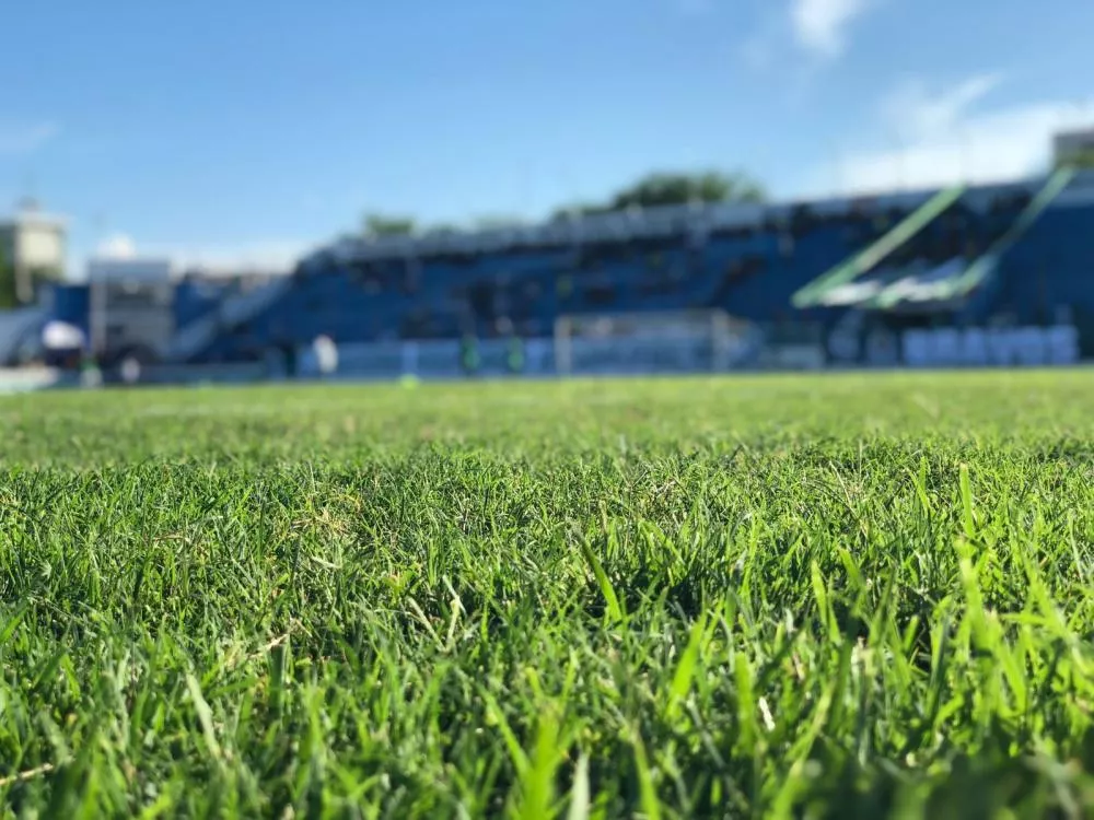 Foto: Felipe Vilar/Patosonline.com