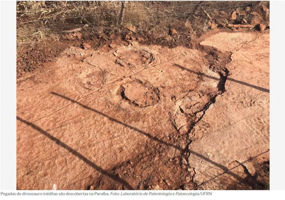 Foto: Laboratório de Palentologia e Paloecologia/UFRN
