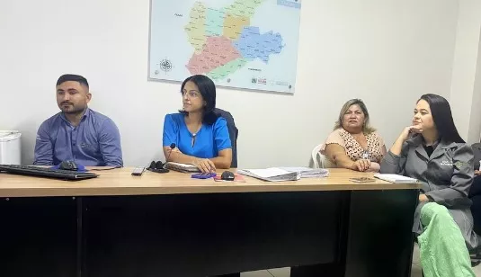 Maternidade Dr. Peregrino Filho participa de videoconferência com hospital Sírio-Libanês no projeto de reestruturação de hospitais públicos
