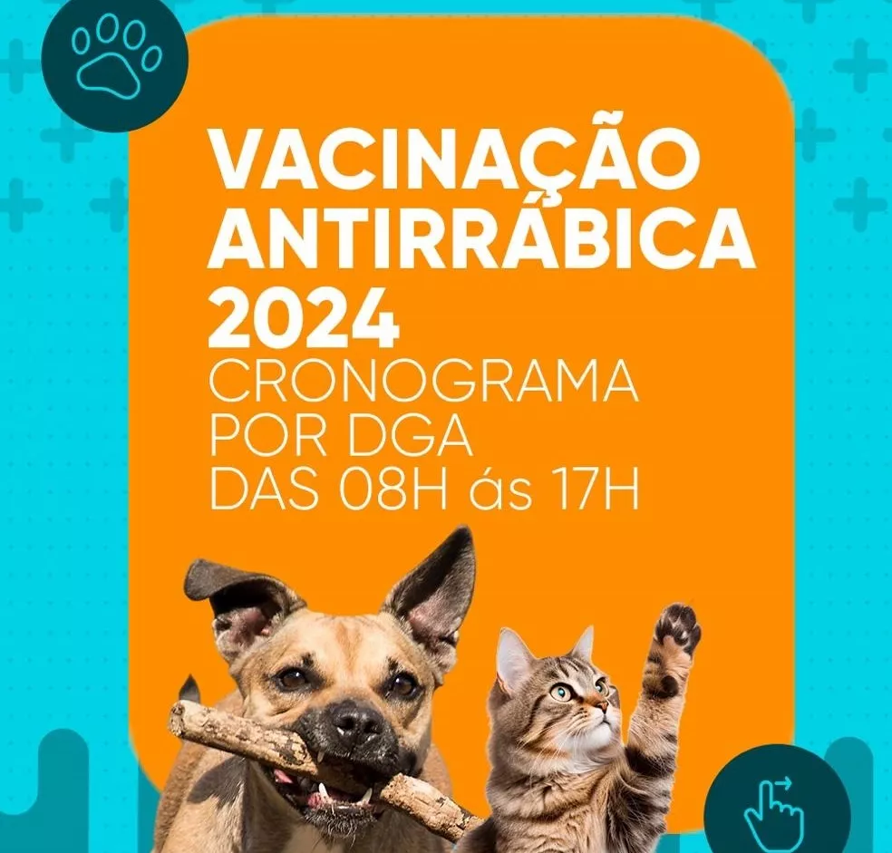 Vacinação Antirrábica 2024 em Patos-PB começa amanhã (31); confira o cronograma e locais