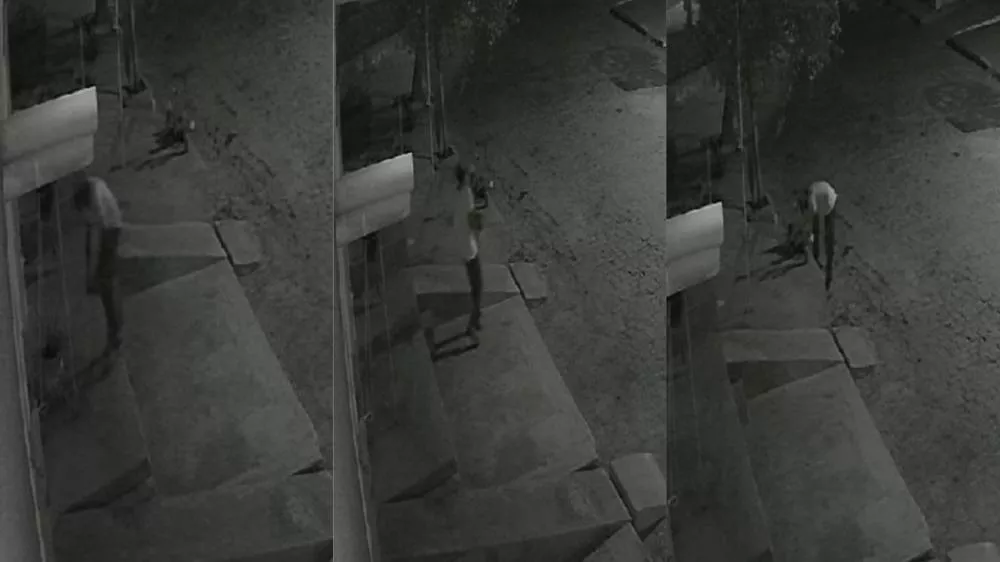 Homem é flagrado furtando vaso de planta no bairro Maternidade, em Patos; veja vídeo