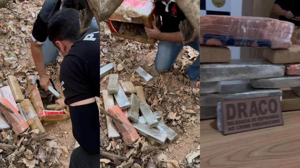 Polícia Civil apreende cerca de 15 tabletes de maconha enterrados na zona rural de Pombal