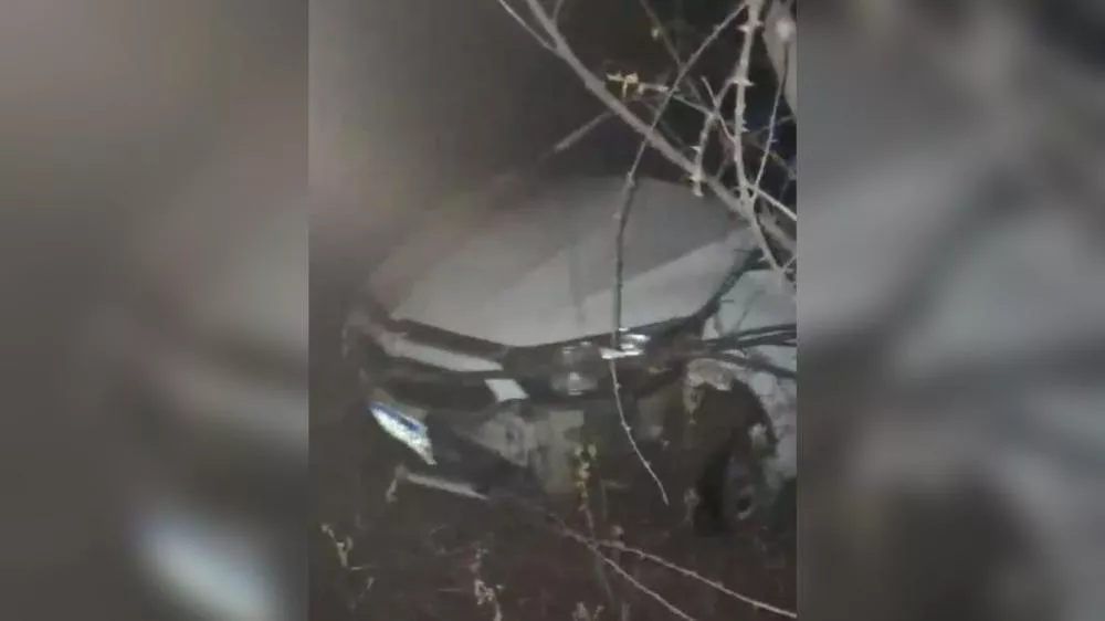 Foto: Reprodução/Patosonline