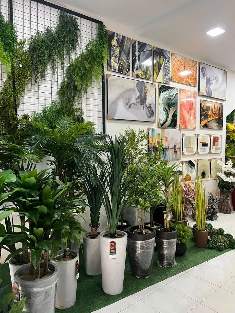 Inauguração da CASA FLOR DECOR em Patos/PB