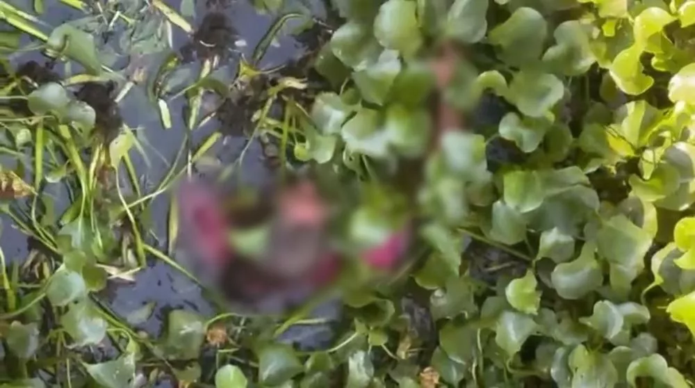 Foto: Reprodução/Redes sociais