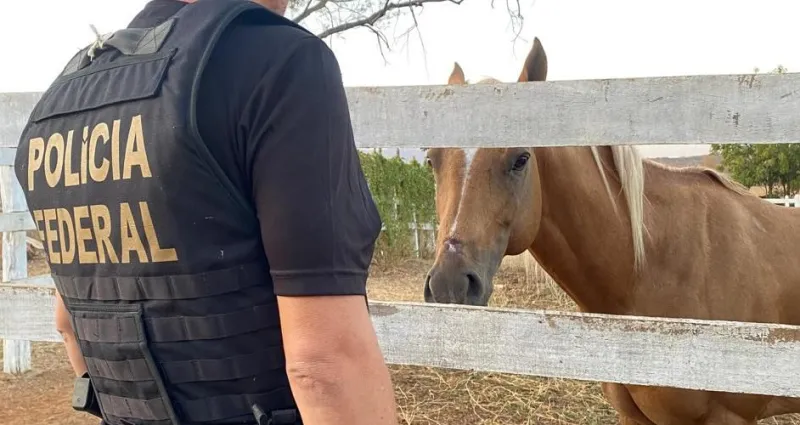 Foto: Divulgação/PF
