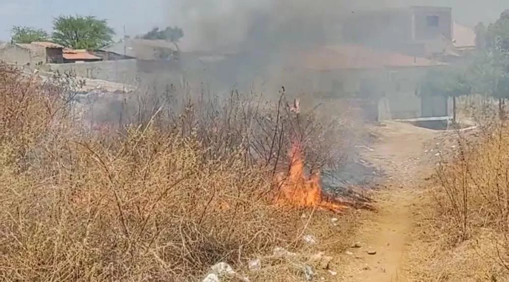 Morador denuncia queimada de lixo na Rua Elpídio Portela, em Patos; veja vídeo