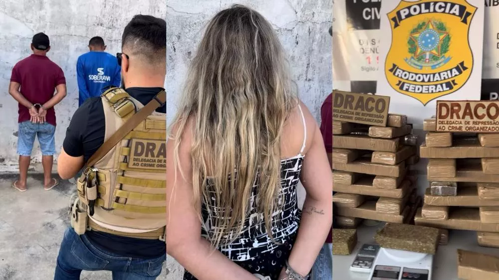 Imagens: Divulgação/DRACO