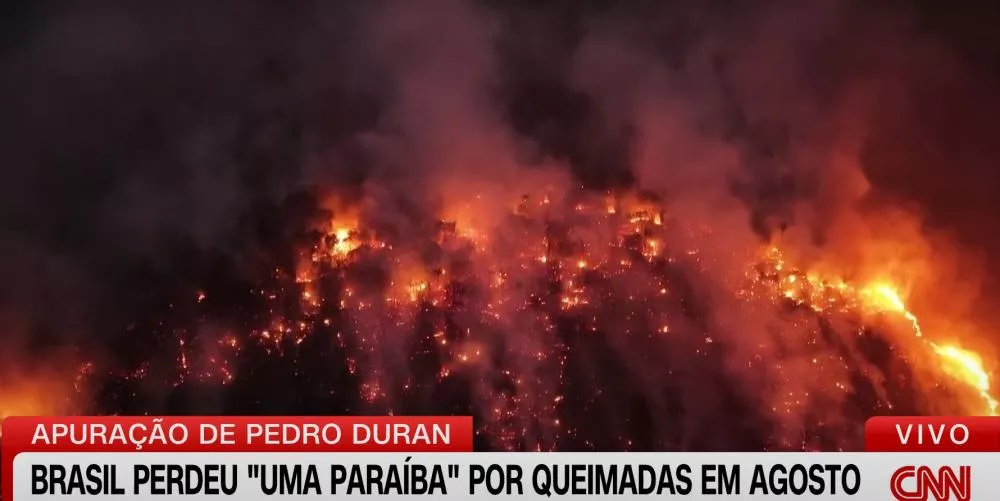 É FOGO: Brasil arde e já perdeu ‘uma Paraíba’ em queimadas só em agosto, diz MapBiomas