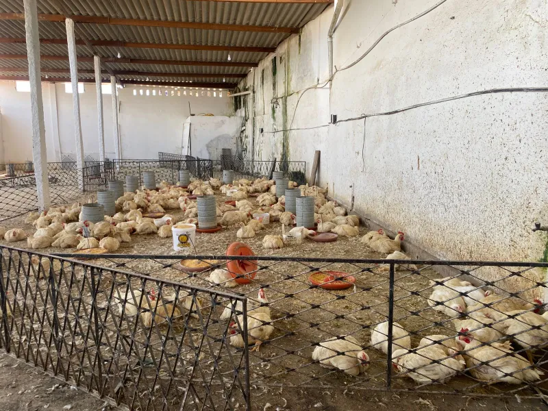 Na Paraíba: Empresário é preso suspeito de sonegar R$ 17 mi e usar CPF de defuntos, diz promotora