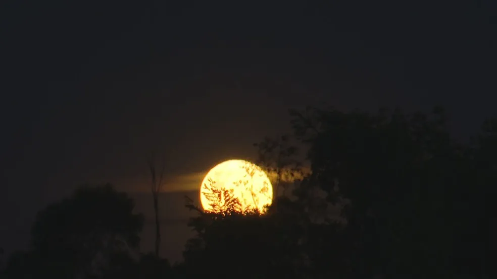 Foto: TV Globo/Reprodução