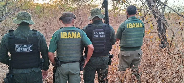 Operação Vidas Livres prende quatro caçadores e resgata 75 animais silvestres em Patos e diversas cidades da PB