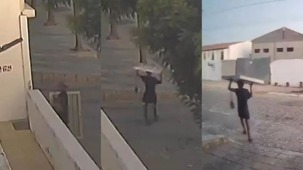 Foto: Reprodução/Patosonline