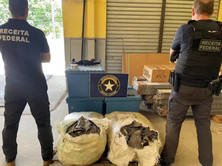 Receita Federal apreende 66 kg de barbatanas de tubarão que seriam enviadas de João Pessoa para a China