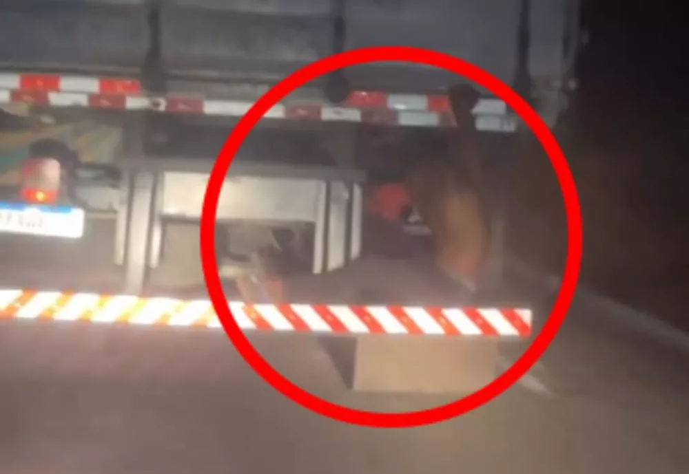 Foto: Reprodução/Patosonline