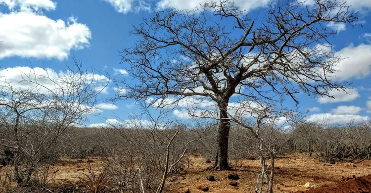 Governo Federal reconhece situação de emergência em quatro cidades da Paraíba