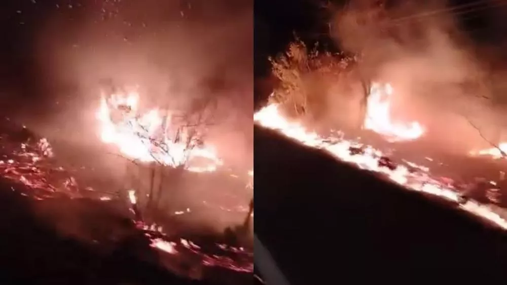 Incêndio às margens da BR-230, próximo à entrada de Condado, preocupa moradores