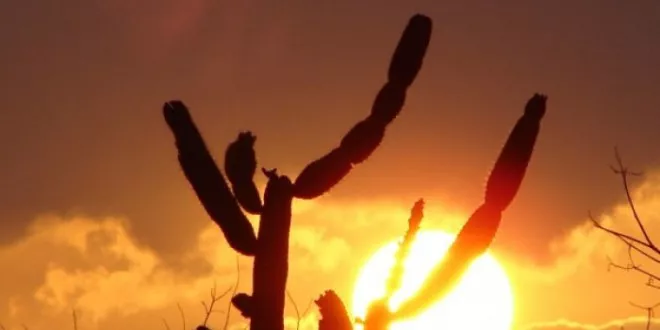 Meteorologia emite alerta de onda de calor e baixa umidade para Sertão