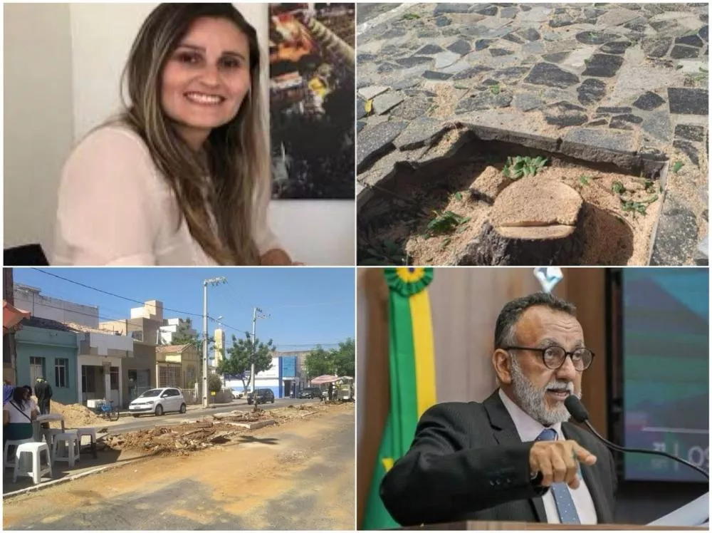  Vereador fala em retirada desnecessária de árvores em Patos-PB; Secretária do Meio Ambiente diz que informação não procede