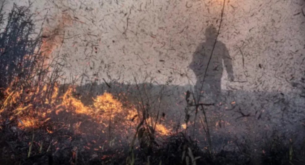 Explode número de queimadas pelo Brasil e focos de incêndios no país já são 76% maiores que em 2023 