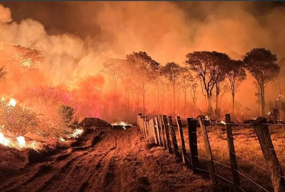 Entidades do mercado financeiro cobram ação conjunta do governo e sociedade contra as queimadas