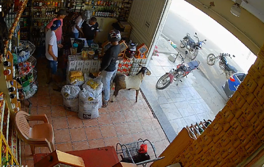 Suspeito de assalto em Bonito de Santa Fé é preso pela Polícia Civil na cidade de Itaporanga-PB