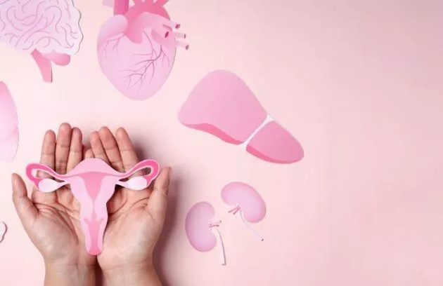 Prefeitura de Patos realiza semana dedicada à saúde da mulher; confira a programação