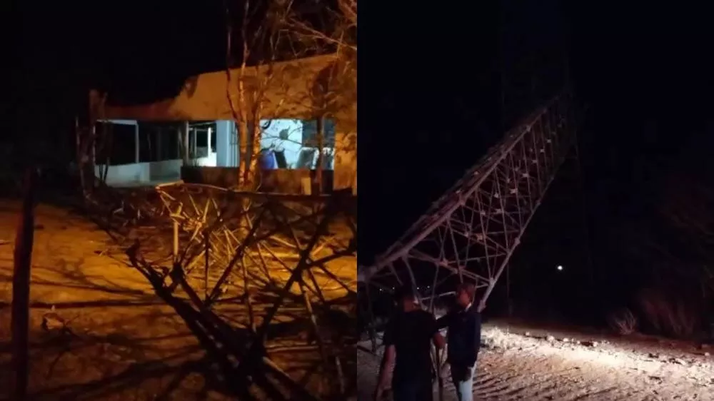 Foto: Reprodução/Patosonline