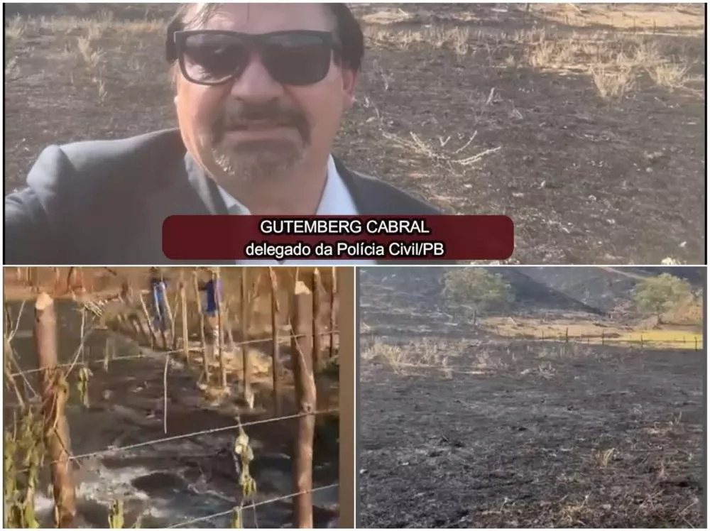 Delegado da 16ª Seccional comenta investigação sobre incêndio em vegetação no município de Manaíra