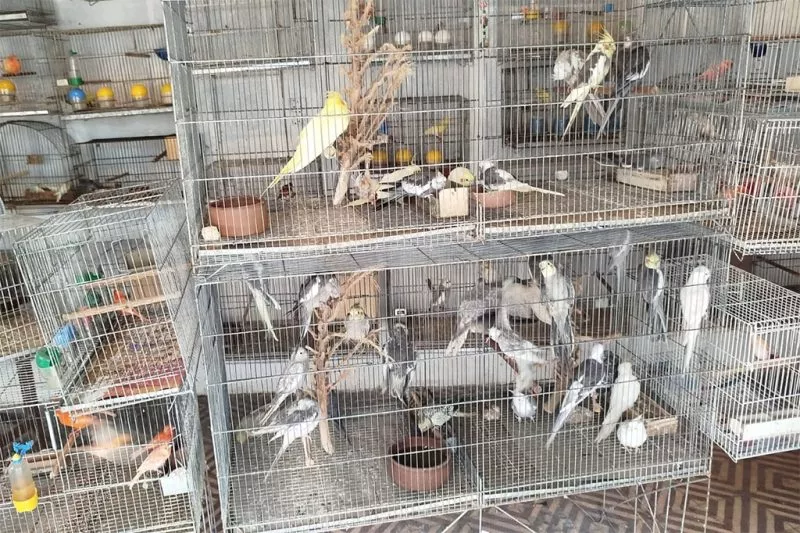 Foto: ParaibaOnline/Arquivo