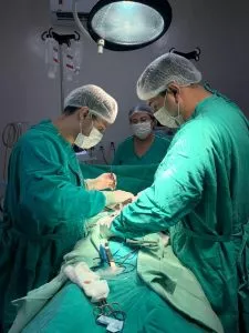 Reprodução: Redes Sociais