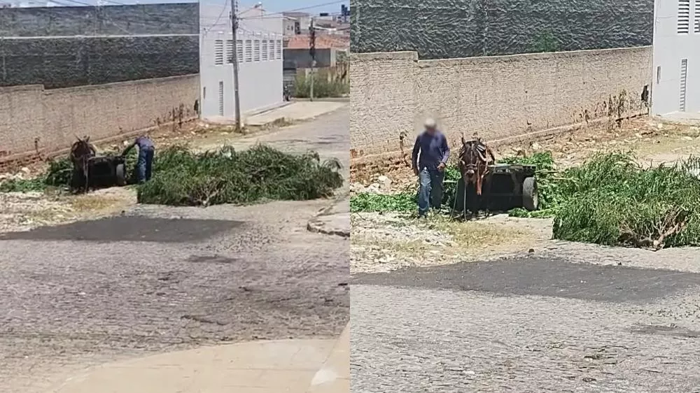 Moradora do Bairro Maternidade denuncia descarte irregular de resíduos em terreno limpo