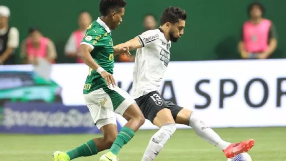 Botafogo vence Palmeiras em 'final', retoma liderança e dá passo gigante para ser campeão brasileiro