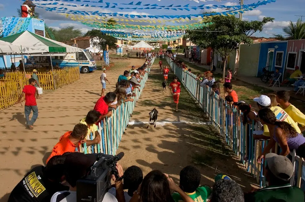 Festa do Bode Rei — Foto: Prefeitura de Cabaceiras/Divulgação