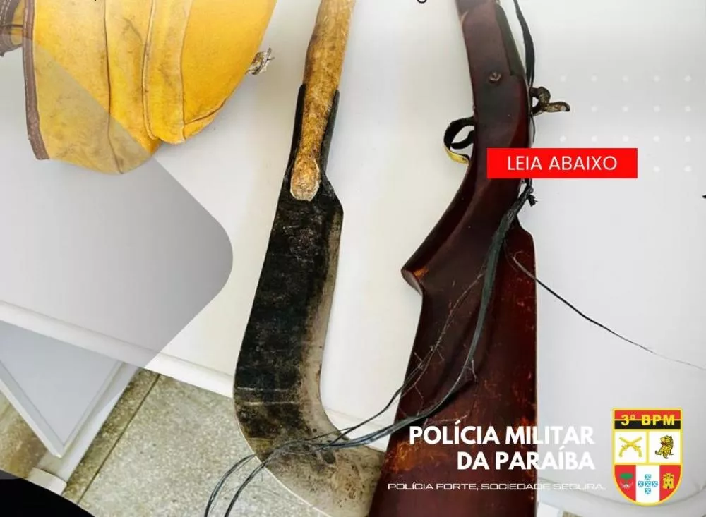 Polícia Militar apreende arma e detém homem por ameaça em contexto de violência doméstica, em Matureia