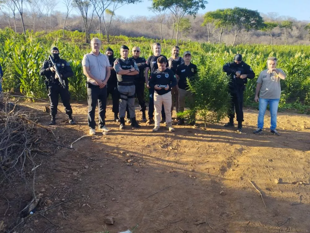 Sertão da Paraíba registra maior redução de homicídios do estado com -22% em 2024