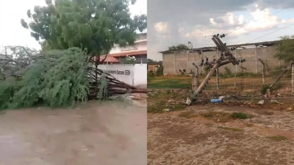 Foto: Patos Online/Reprodução