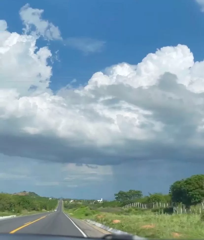 O inverno pegou: chuvas de janeiro surpreendem pela regularidade e bons volumes no regional de Patos