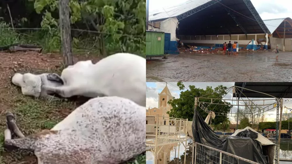 Forte chuva com ventania causa estragos em Santa Inês e adia festa do padroeiro; vacas morrem atingidas por raio