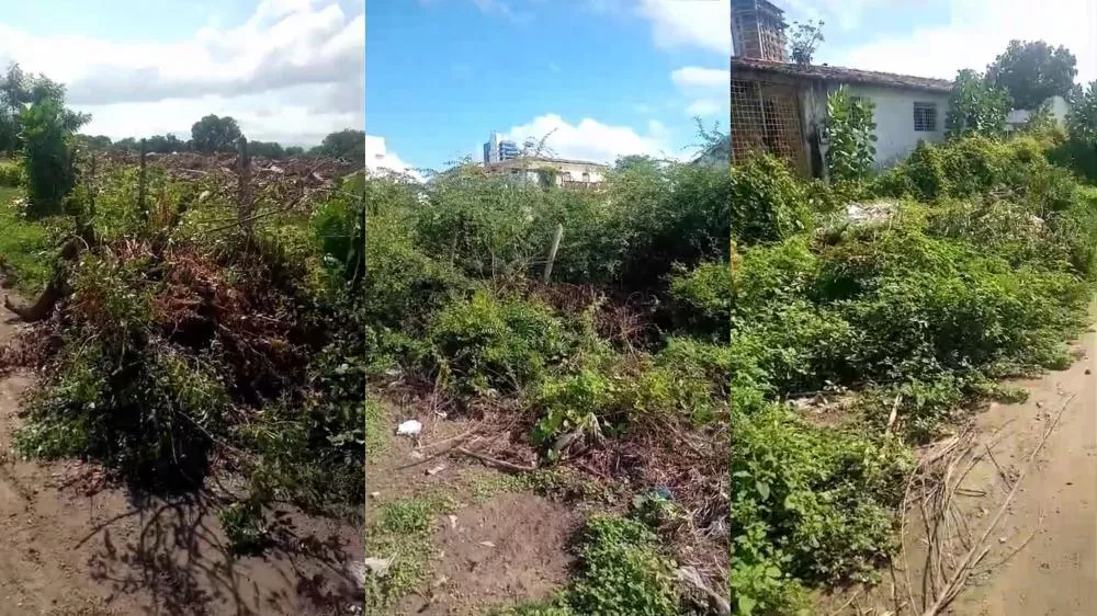 Morador da Rua Deodoro da Fonseca, em Patos, pede limpeza de área tomada por lixo e entulhos descartados por carroceiros