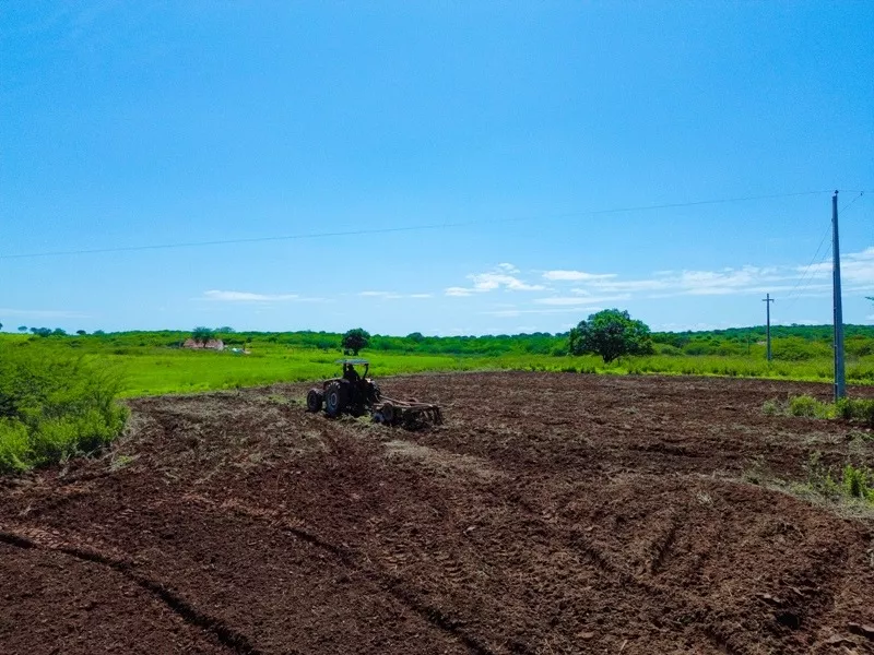 Prefeitura de Patos avança com corte de terra para os pequenos agricultores