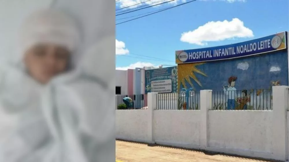 Mãe de menino atacado por cachorro em Patos conta detalhes do ocorrido e cobra solução por parte dos poderes públicos; garoto já recebeu alta