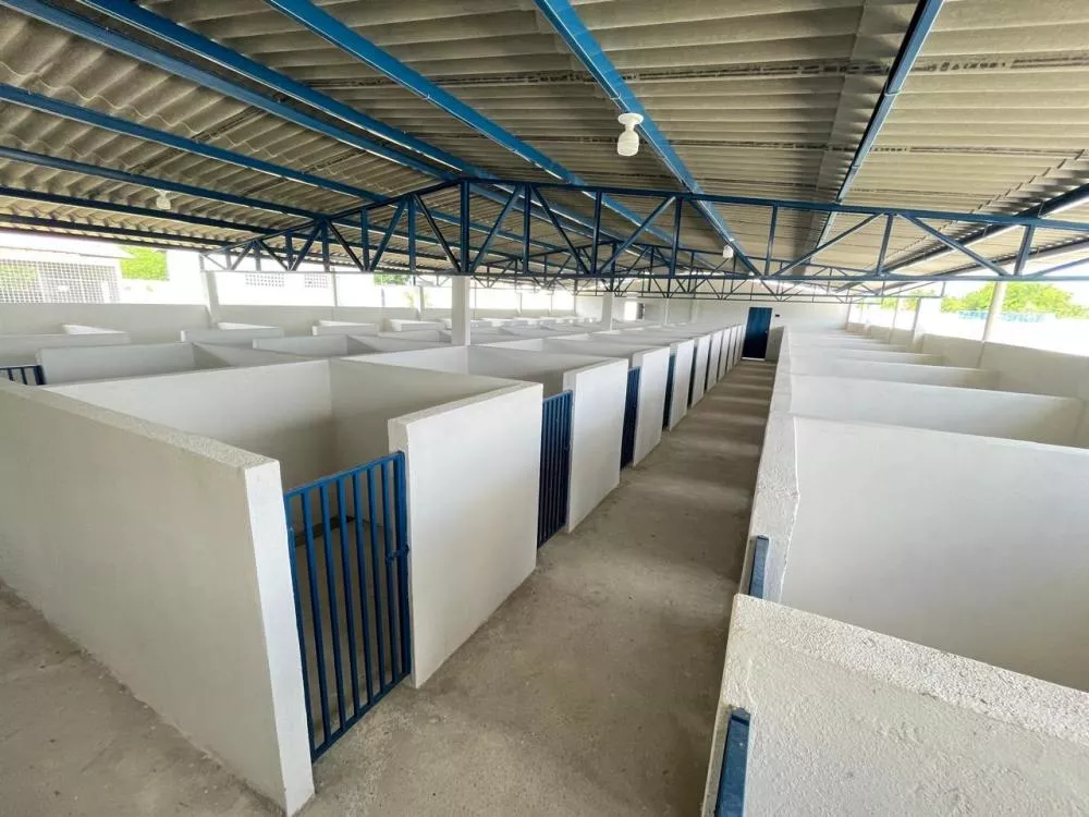 Com novas instalações, Centro de Castração de Animais se prepara para ampliar serviços em Patos