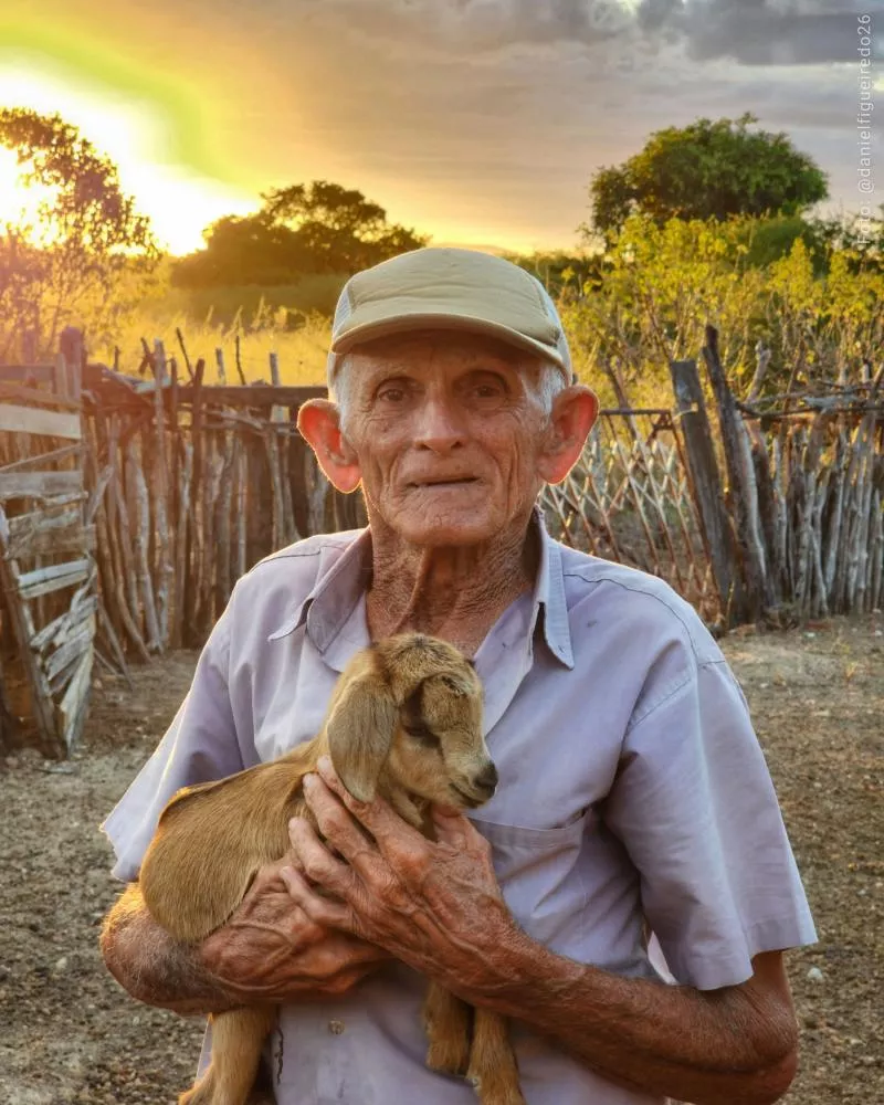 De autoria da Senadora paraibana Daniella Ribeiro, Lei que estabelece Dia do Nordestino é sancionada