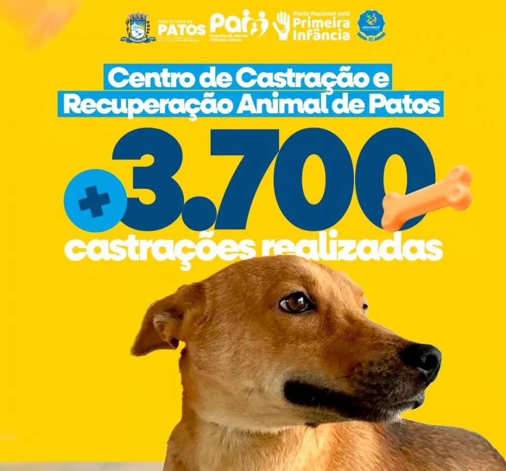 Prefeitura de Patos já castrou 3.700 cães e gatos e dobrará capacidade do serviço