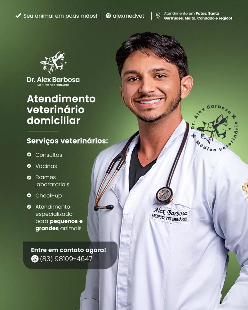 Patos e região contam com atendimento veterinário domiciliar: conheça os serviços do Dr. Alex Barbosa