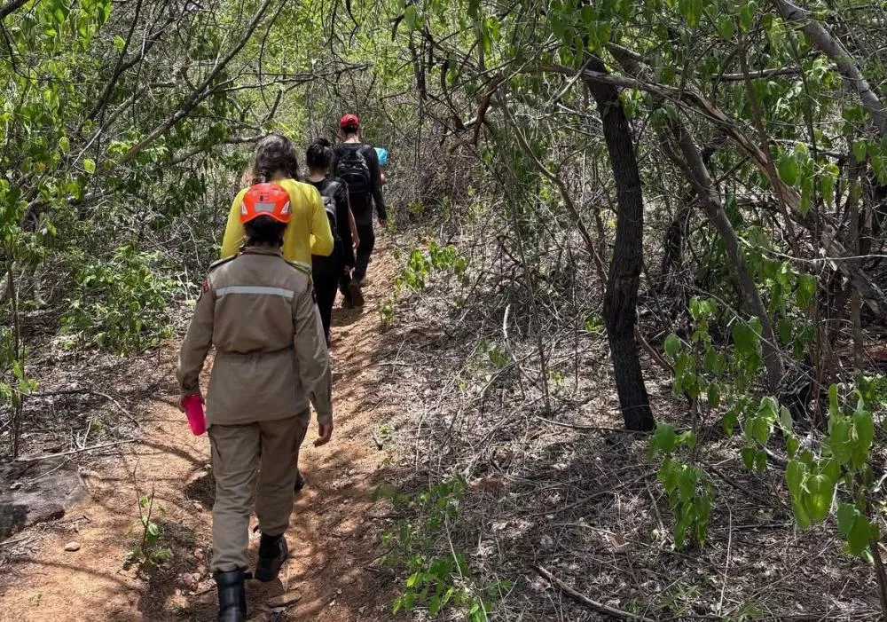 No Sertão: Grupo se perde em trilha após ataque de abelhas e é resgatado pelo Corpo de Bombeiros em Vieirópolis