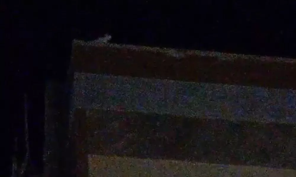 Gatinho preso na cobertura de prédio da antiga Telemar, no Centro de Patos, chama atenção de moradores, que tentam resgate